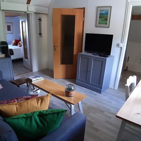 Dandelion Bed & Breakfast Ribeauvillé Dış mekan fotoğraf