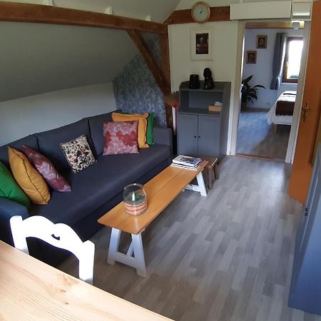 Dandelion Bed & Breakfast Ribeauvillé Dış mekan fotoğraf