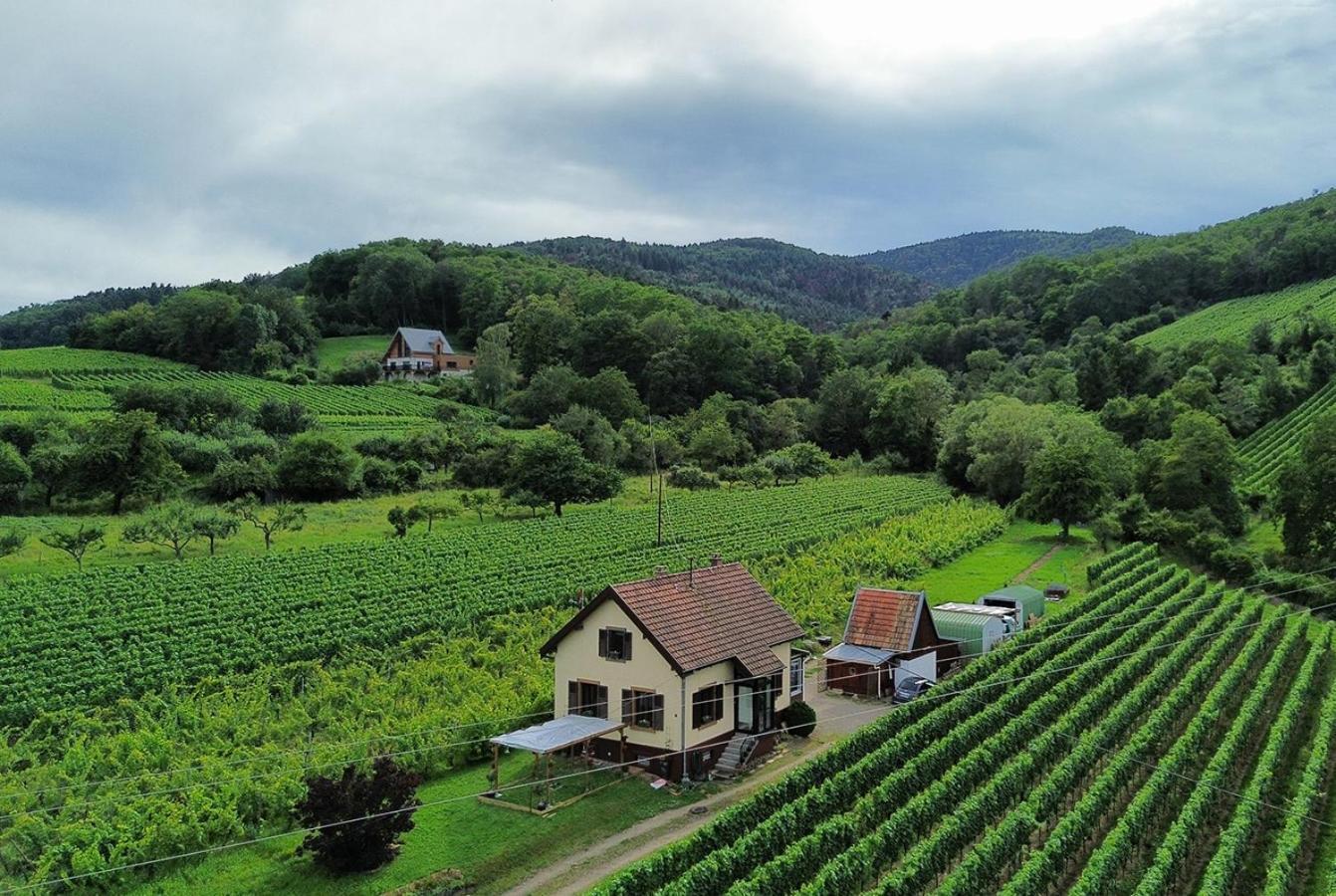 Dandelion Bed & Breakfast Ribeauvillé Dış mekan fotoğraf