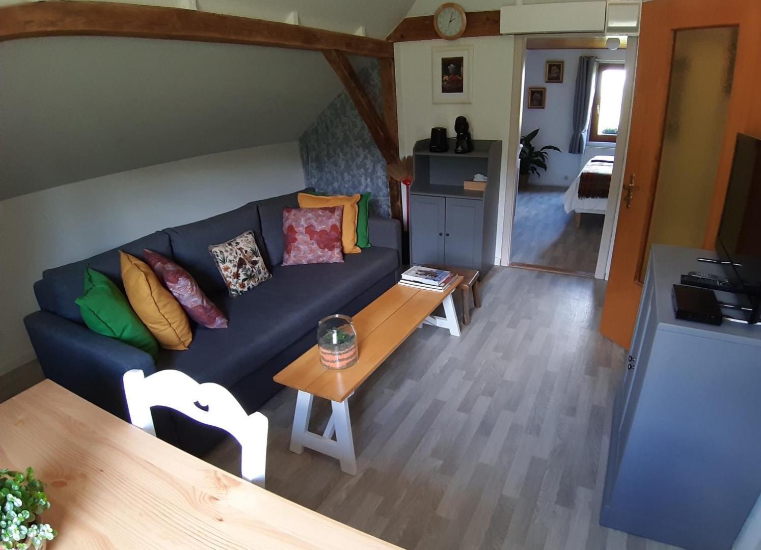 Dandelion Bed & Breakfast Ribeauvillé Dış mekan fotoğraf