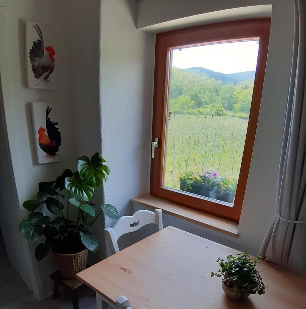 Dandelion Bed & Breakfast Ribeauvillé Dış mekan fotoğraf