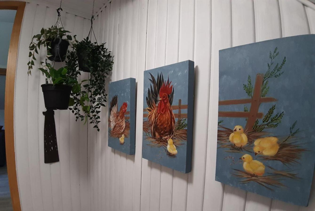 Dandelion Bed & Breakfast Ribeauvillé Dış mekan fotoğraf